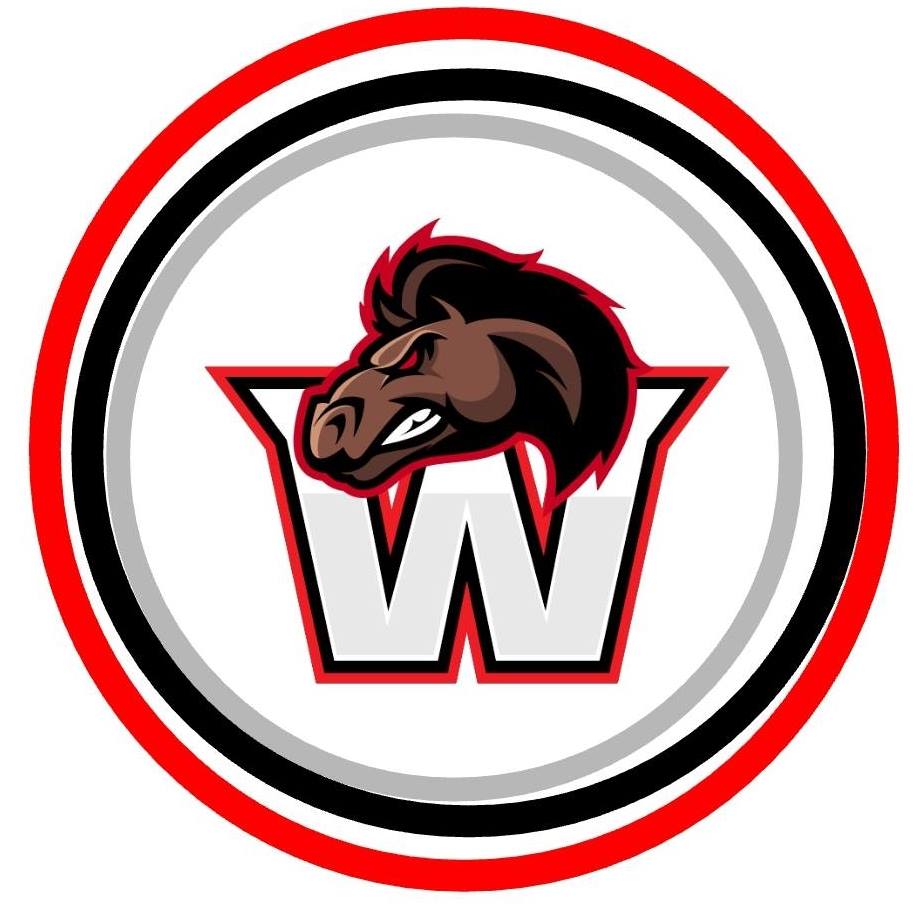 ion basket logo
