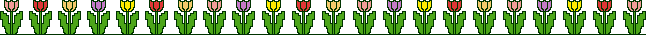 lijntje tulpen