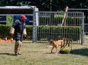 honden