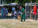 honden_3