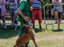 honden_5