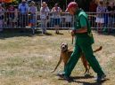 honden_9